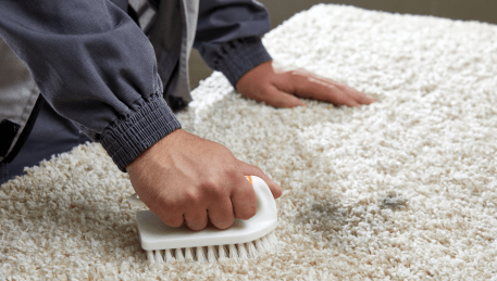 Professional Rug Cleaning Maidstone